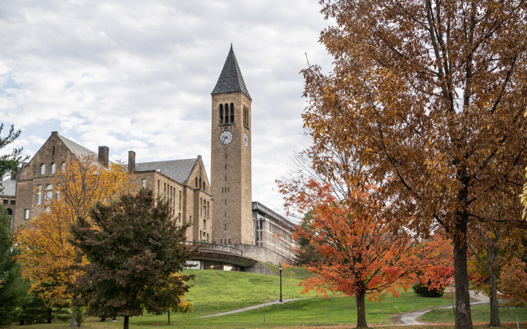 Exploring Big Red Territory: A Walking Tour of Cornell’s Hidden Gems