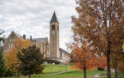 Exploring Big Red Territory: A Walking Tour of Cornell’s Hidden Gems