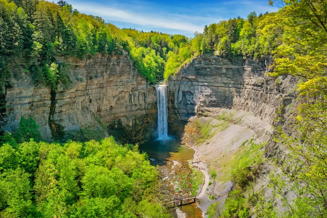 View of Taughannock Falls surrounded by lush green trees and cliffs in the Finger Lakes region.