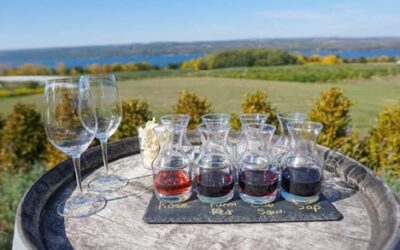 If you are looking for a cultivated wine tasting adventure, book with Experience! The Finger Lakes